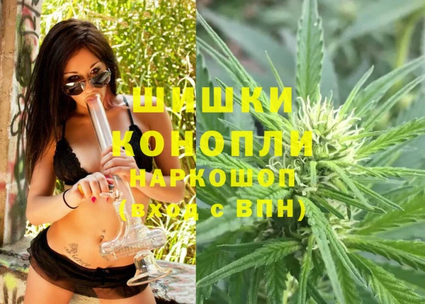 МДПВ Снежинск