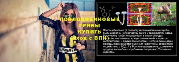 гидропоника Арсеньев