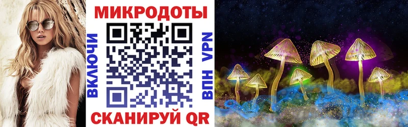 закладка  блэк спрут вход  Псилоцибиновые грибы MAGIC MUSHROOMS  Долинск 